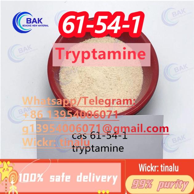 Tryptamine CAS 61 54 1 61