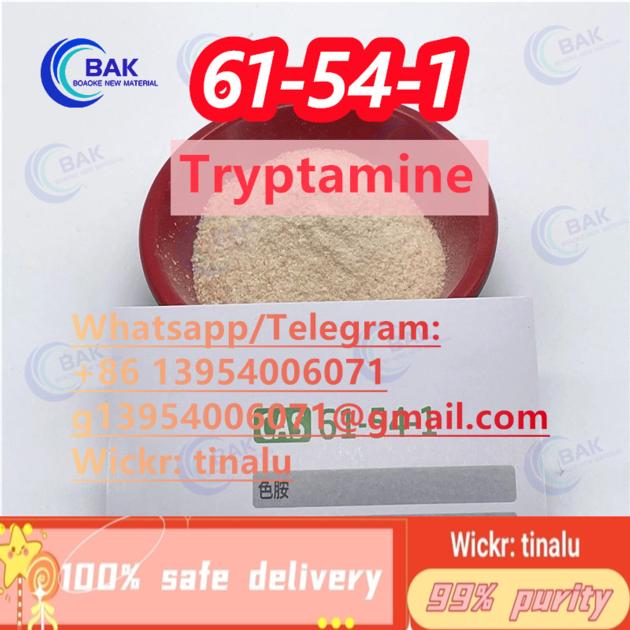 Tryptamine CAS 61 54 1 61