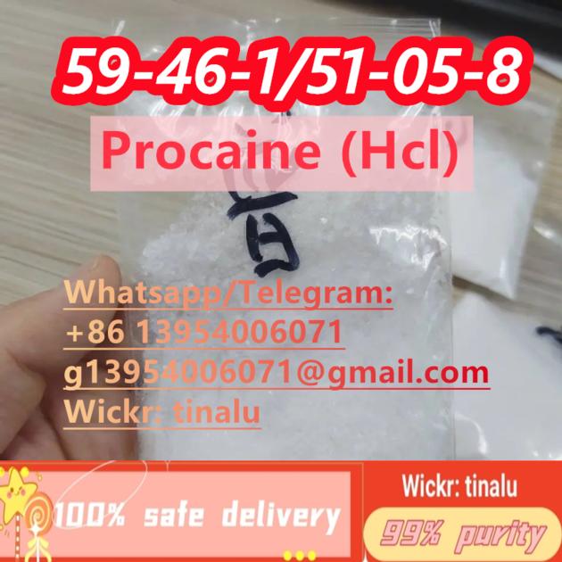 Cas 51 05 8 Procaine Hydrochloride