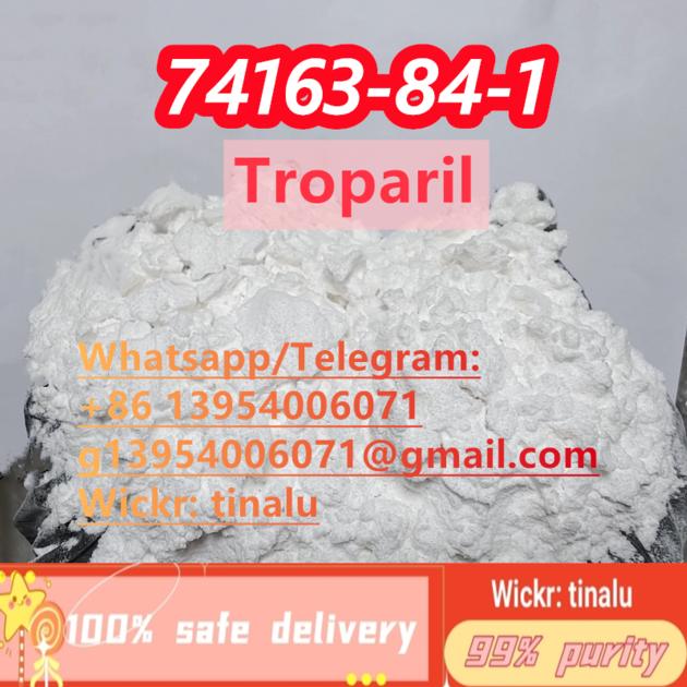 Factory Supply Troparil CAS 74163 84