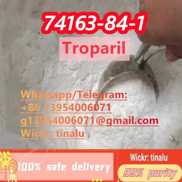 Factory Supply Troparil CAS 74163 84