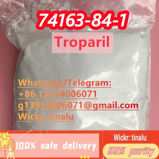 Factory Supply Troparil CAS 74163 84