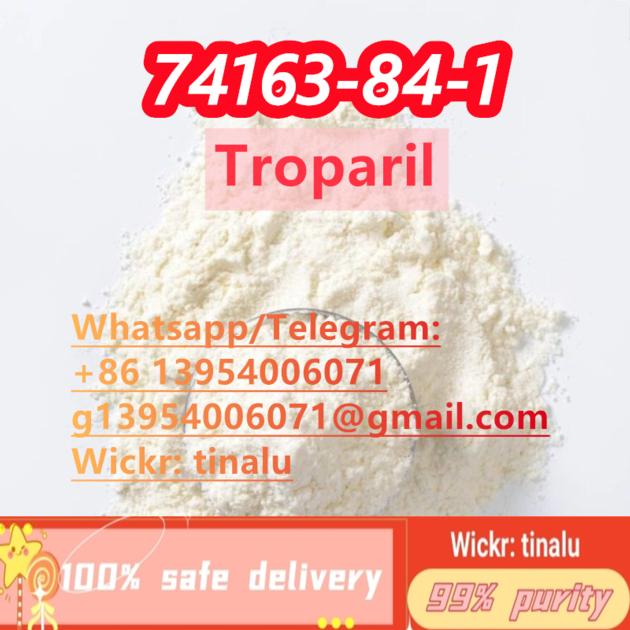 Factory Supply Troparil CAS 74163 84