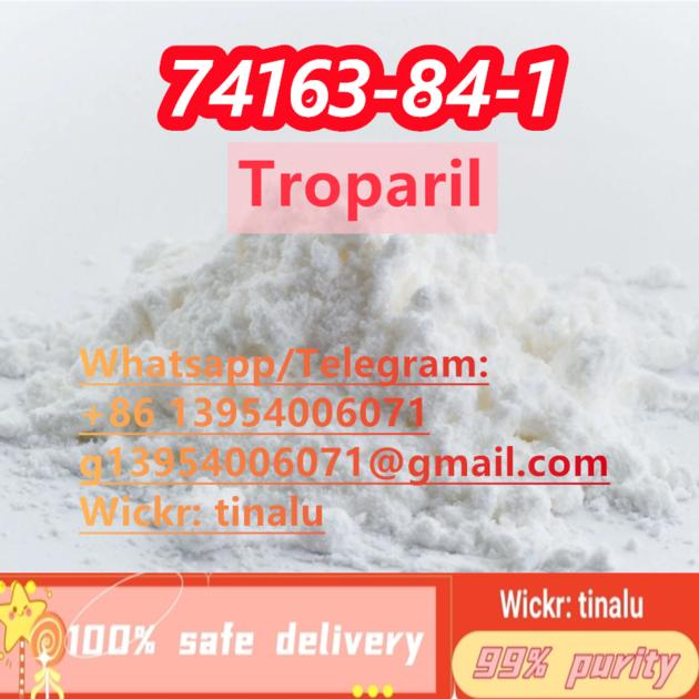 Factory Supply Troparil CAS 74163 84