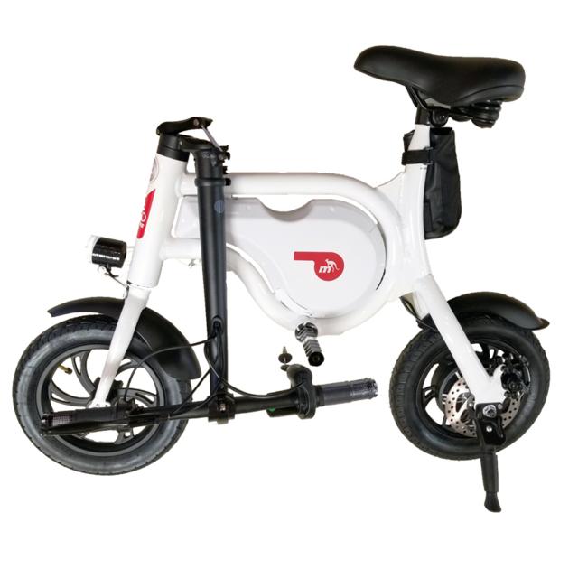 Electric Bike Popular Aluminum Alloy Frame