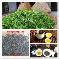 green tea 9369