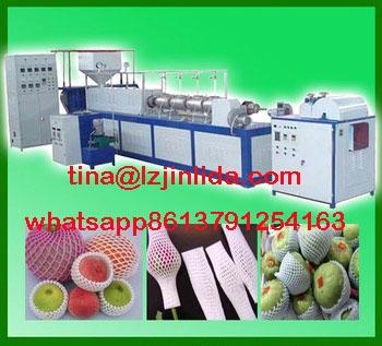 epe foam fruit net extruder plant