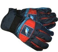 Ski glove 