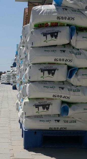 Potassium Sulphate Potash 50