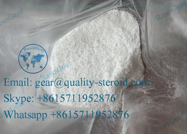 Creatine Monohydrate powder