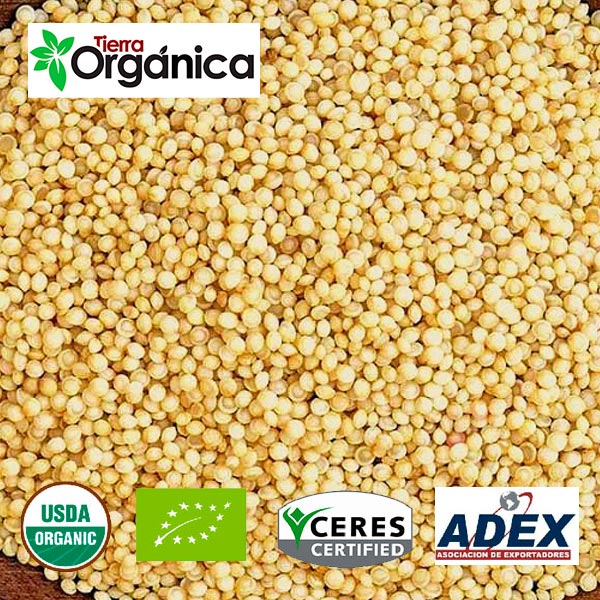Amaranth (organic & conventional)