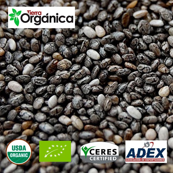 Chia (organic & conventional) 