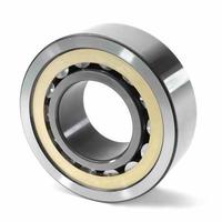 Cylindrical roller bearings