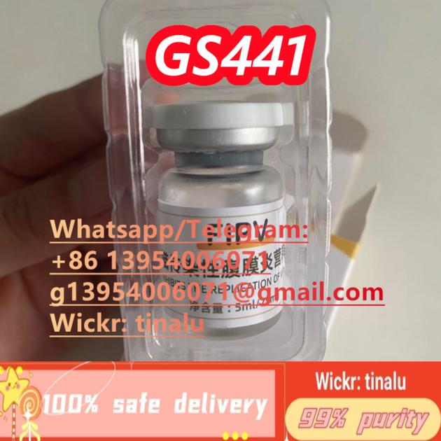High quality fipv 99% GS-441