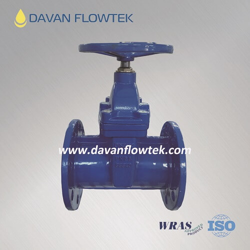 Reslient Seat Gate Valve DIN 3352 F5