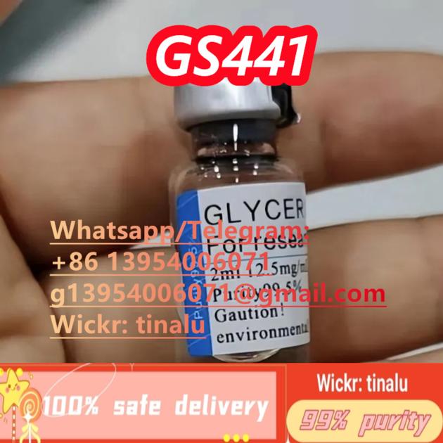 High Quality Fipv 99 GS 441