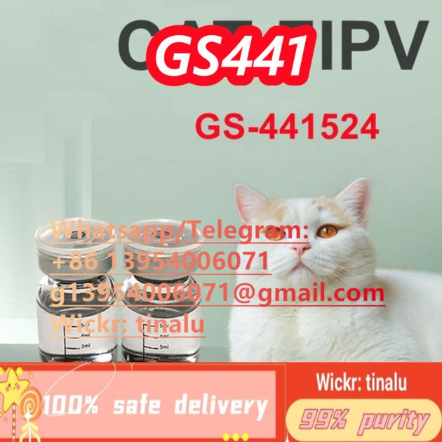 High Quality Fipv 99 GS 441