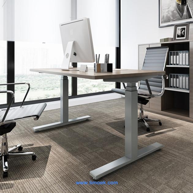 Timoek China Professional Standing Desk Frame