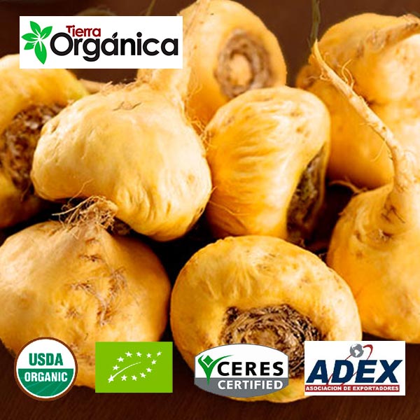 Maca Organic Amp Conventional Products