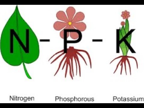 NPK