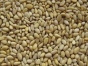 pine nuts