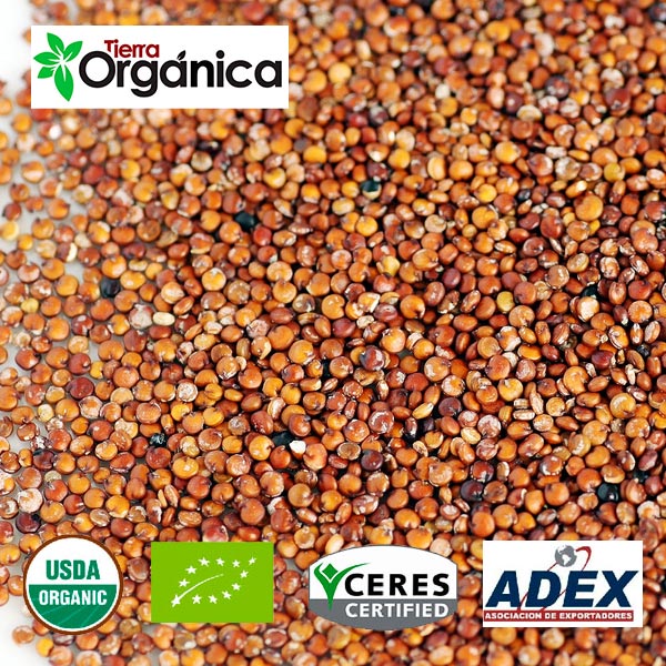 Quinoa Organic Amp Conventional