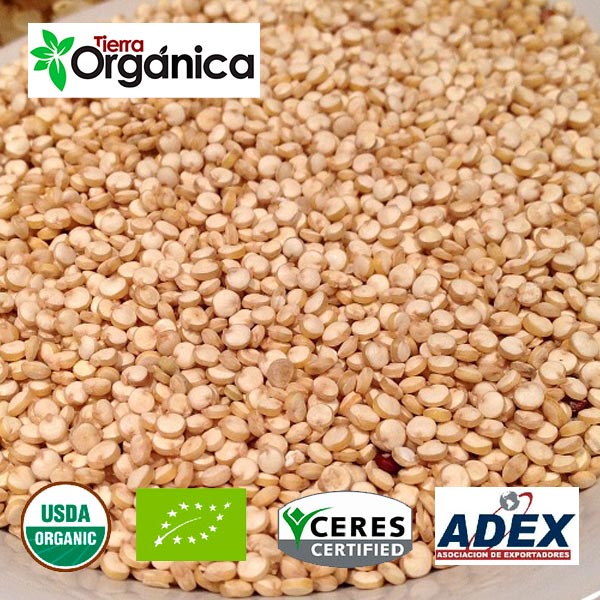 Quinoa Organic Amp Conventional