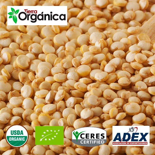 Quinoa  (organic & conventional) 