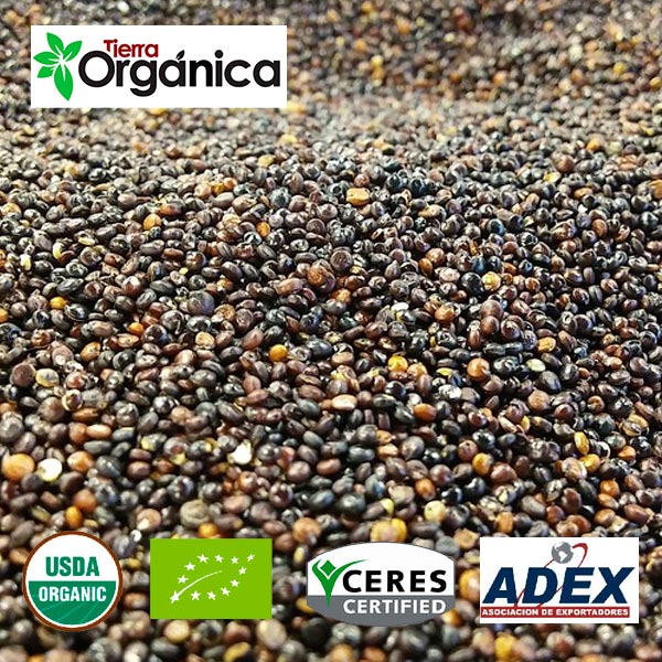 Quinoa Organic Amp Conventional