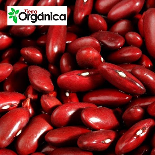 Red Kidney Beans