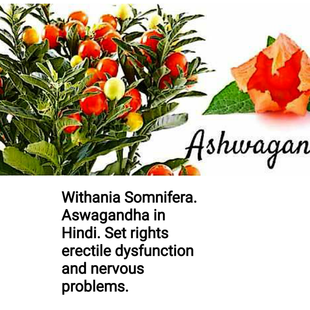Herbal Extract