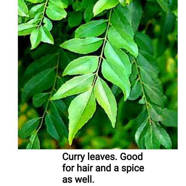 Herbal Extract
