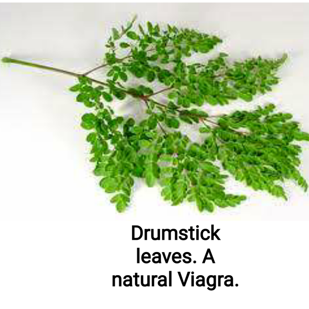 Drum stick extract