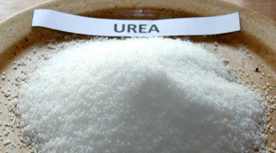 urea