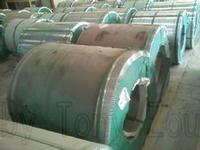 B grade PPGI coils