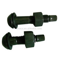 high strength torque bolt with nuts and washers