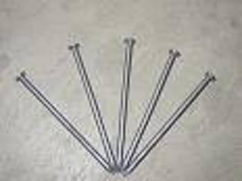 common nails