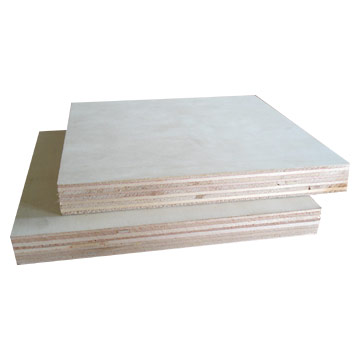 poplar plywood