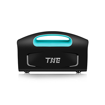 TNE high quality 220v online double conversion UPS