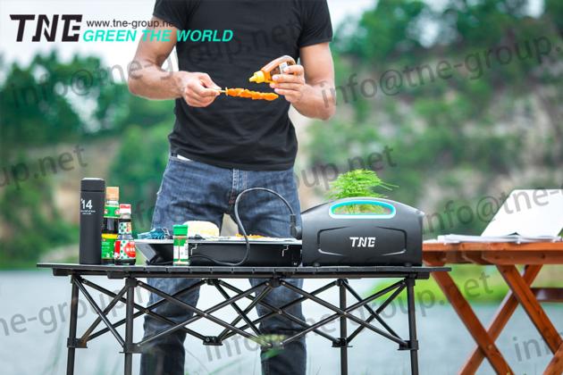 TNE Solar Powered Ups 1200AD 220V