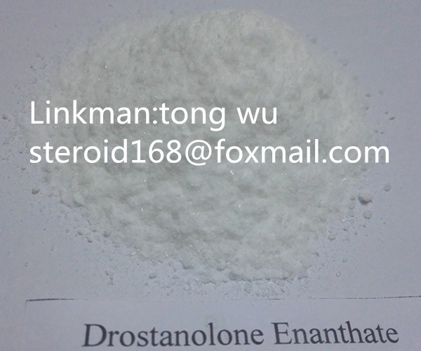 Best Quanlity Anabolic Hormone Steroid Drostanolone Enanthate 472-61-145 Powder