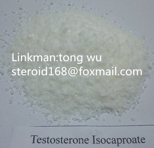 Best Quanlity Hormone Oral and Injections Testosterone Isocaproate Raw Powders