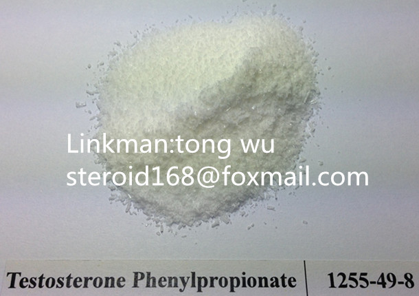 Body Building Raw Testosterone Phenylpropionate Powder 99%