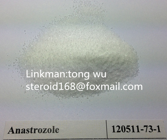 Top quanlity Anti Estrogen Powder Anastrozole
