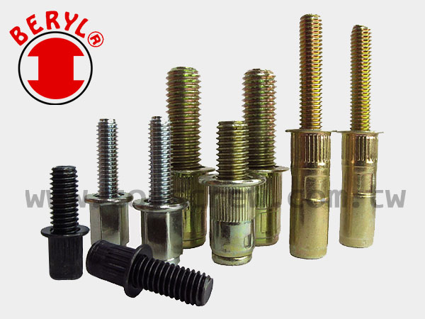 Bolt Rivet Nut