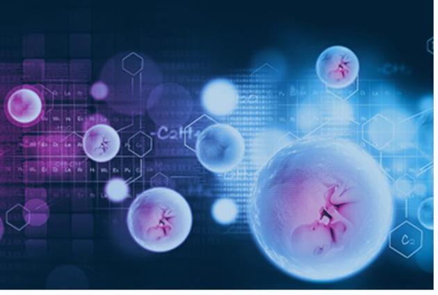 What is TORCHS Test  – Test for Infections