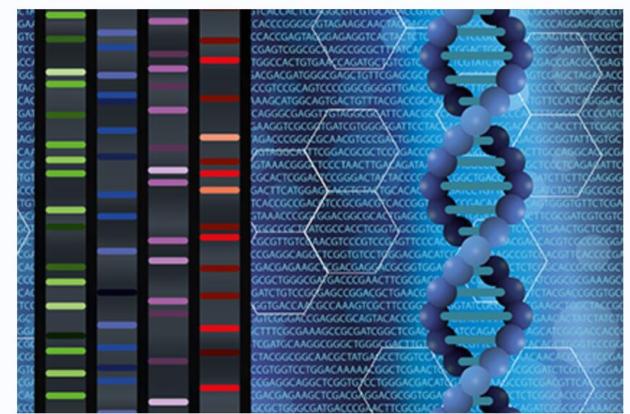 What Moms-to-Be Should Know About Prenatal Genetic Testing