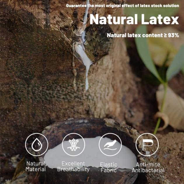 Umikk Natural Latex Sponge Therapy Mattress