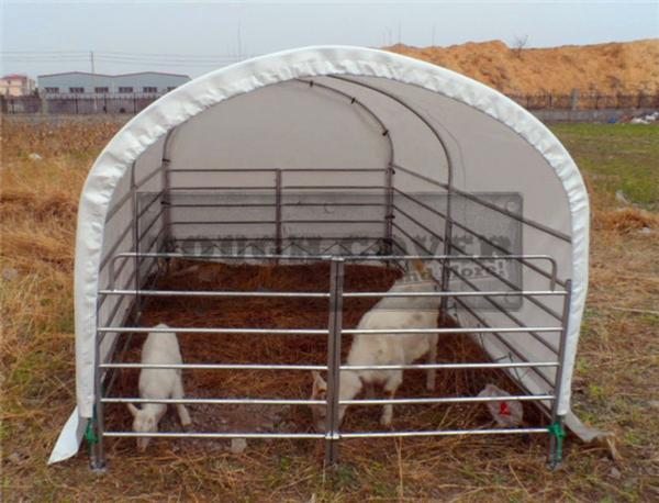  Livestock Housing, Goat Tent