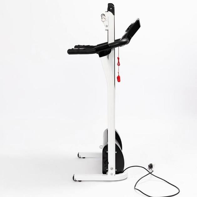 TODO Promotional Fitness Folding Electric Treadmill